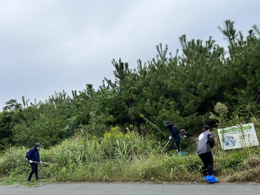 さつき松原清掃中
