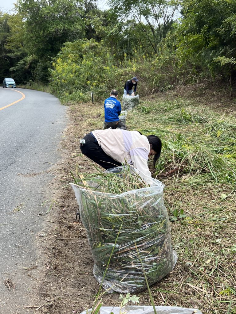 さつき松原清掃中