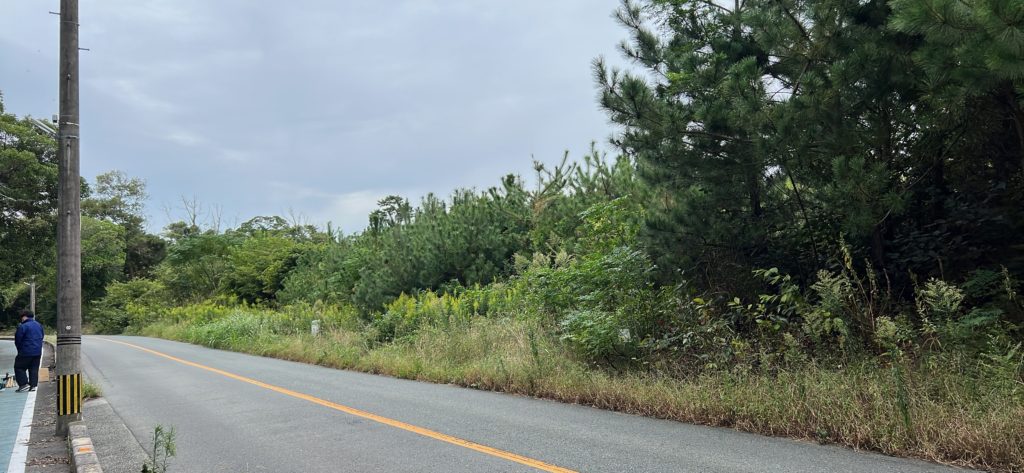 草刈りビフォー