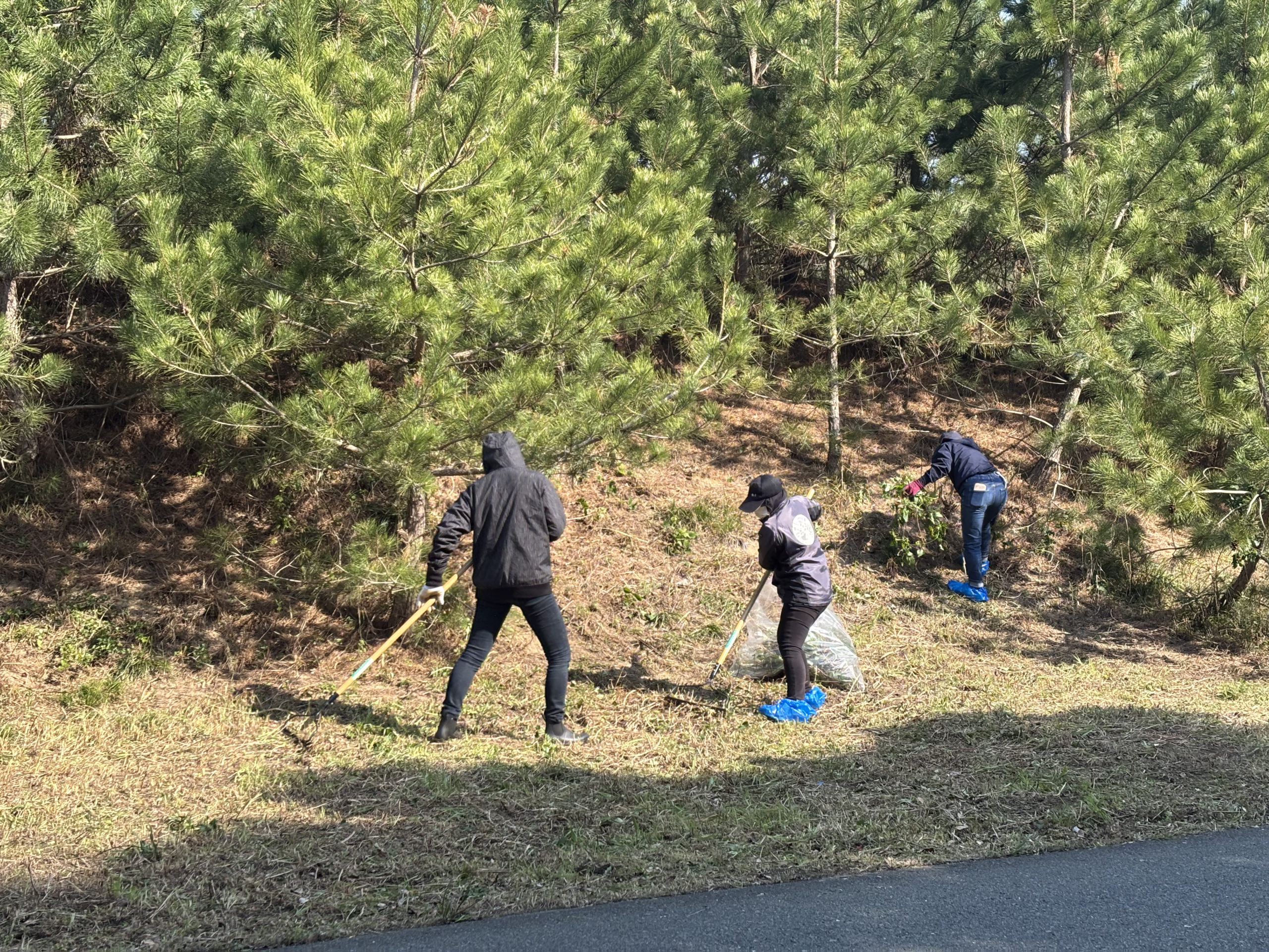 20250322 さつき松原清掃活動